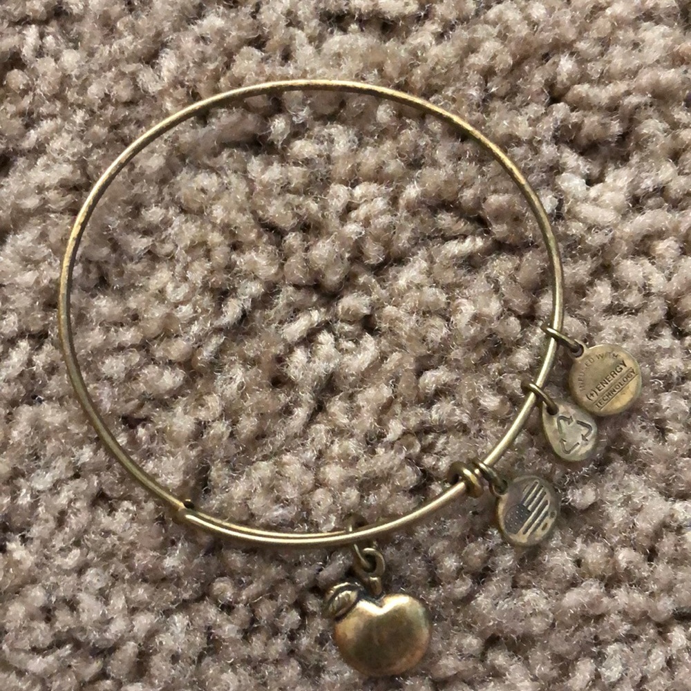 Alex and Ani Abundance Apple Gold Bracelet